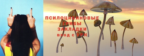 не бодяженный Переславль-Залесский