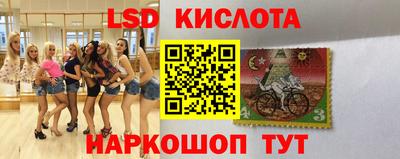 меф Гатчина