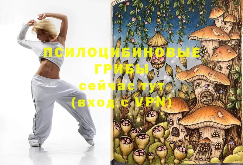 Псилоцибиновые грибы Magic Shrooms  Кушва 