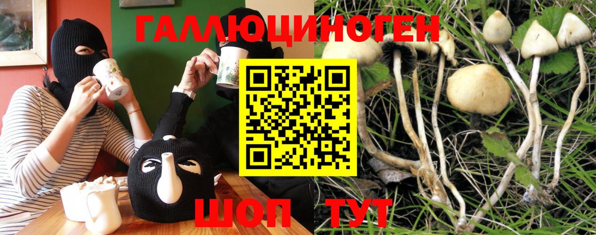 Кушва  Галлюциногенные грибы GOLDEN TEACHER  купить закладку  Вход с VPN 