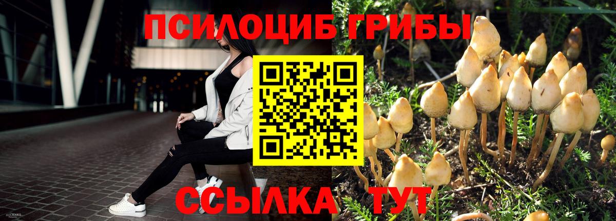 Галлюциногенные грибы GOLDEN TEACHER  Кушва 